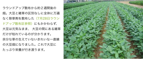 090707_aft_roundup.jpg