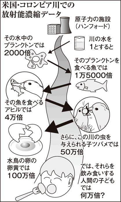 Radioactivity_concentration.jpg